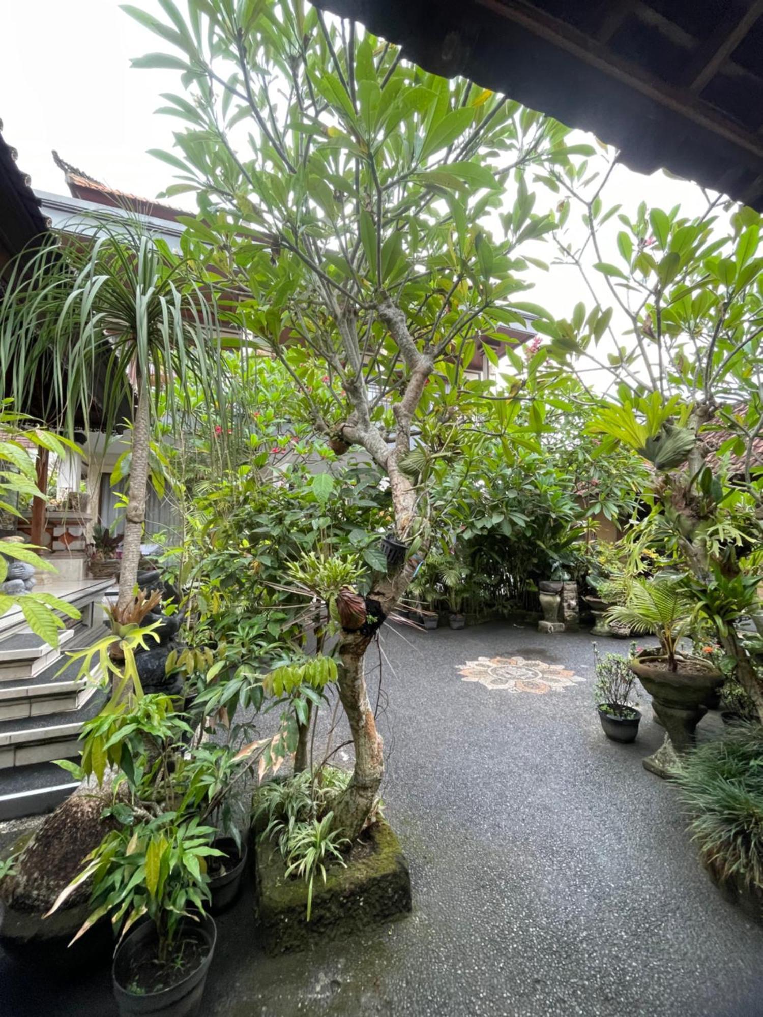 Suntari Homestay ウブド エクステリア 写真