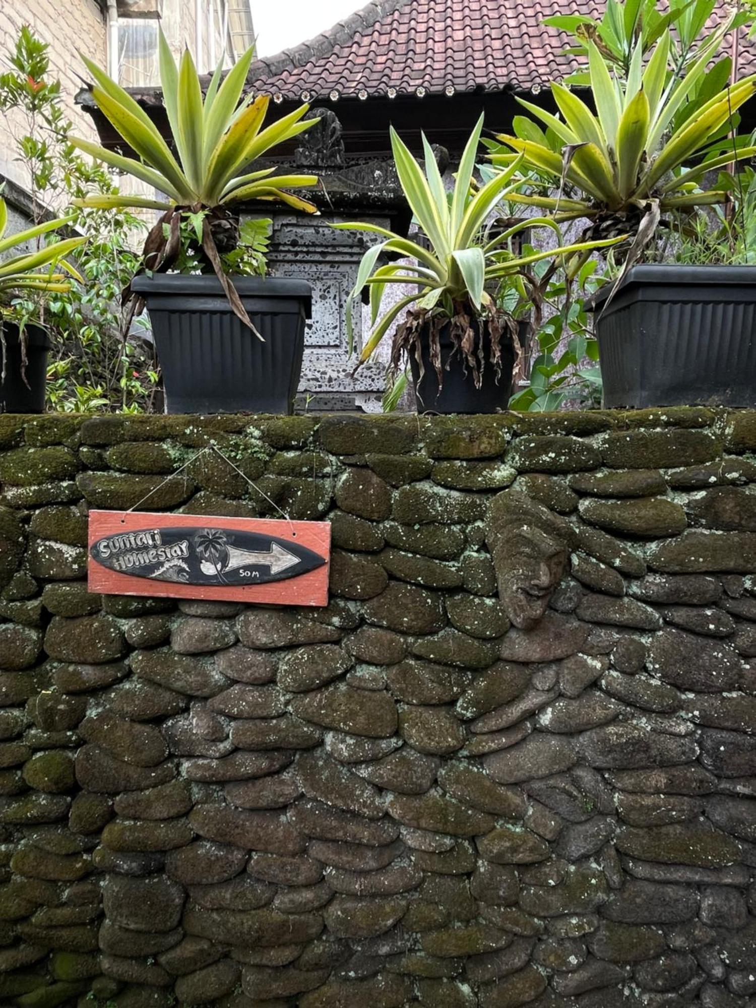 Suntari Homestay ウブド エクステリア 写真